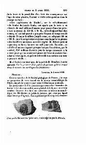 BULLETIN DE LA SOCIETE GEOLOGIQUE DE FRANCE 1852_000322